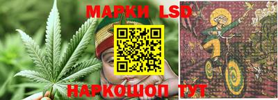 Альфа ПВП Будённовск