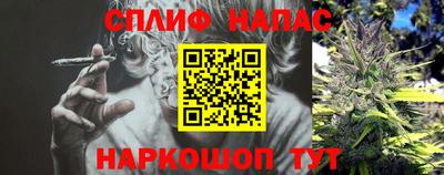 Альфа ПВП Будённовск