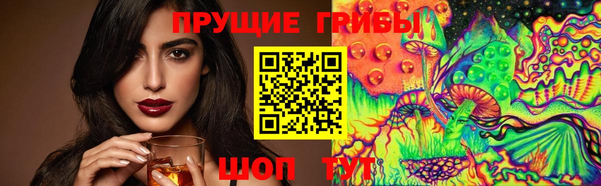 Кстово  Галлюциногенные грибы Psilocybe  Вход с VPN 